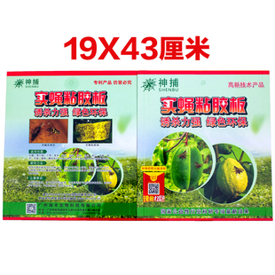 实蝇粘胶板果蝇贴灭果蝇r诱捕器瓜果实蝇诱粘剂针蜂引诱剂粘虫蜜