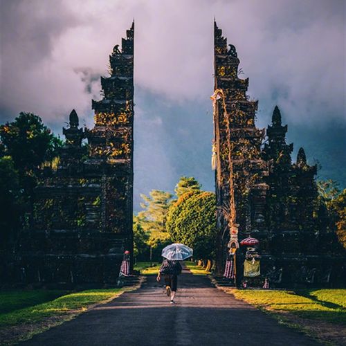 2023 h新版 JayChou 透明伞