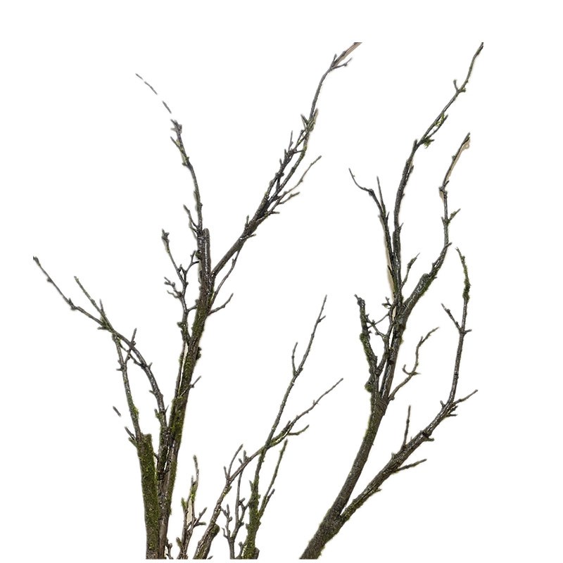 彷真枯树枝条青苔发泡树枝彷真花干 干燥花室内造景婚庆藤X蔓缠绕