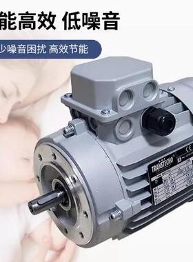 原装意大利TRANSTECNO诠世电机 MS8024/0.75kw