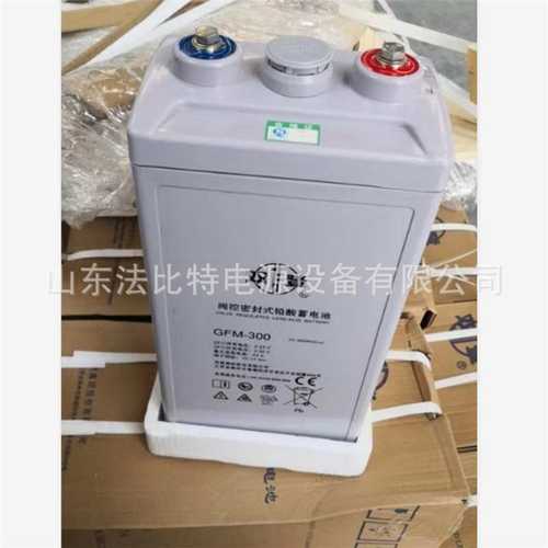 双登铅酸蓄电池GFM-100工业级2V100Ah质保3年 全系含税