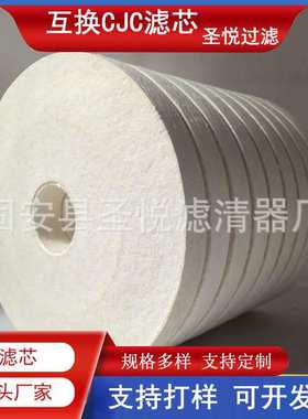 CJC离线过滤器滤芯PA5601365轮船发动机燃油除杂除水GFi1x27/27