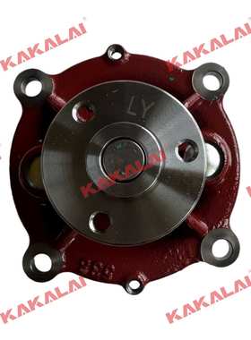 沃尔沃EC210B EC240B水泵3668561 02937441 20726092 VOE21125771