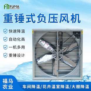 负压风机 重锤式 工业大功率排风换气扇厂家供应畜牧养殖抽风机