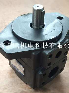 供应YB-D315 定量叶片泵 压力10MPa 液压油泵 电动油泵