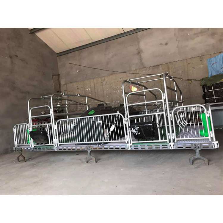 仔猪保育定位栏 养殖场母猪产床 热镀锌材料双体控温产仔床现货