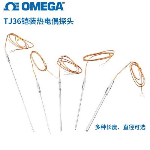 TJ36-CAIN-18U-12-DUAL TJ36-CASS-040U-8奥米佳带导线铠装热电偶