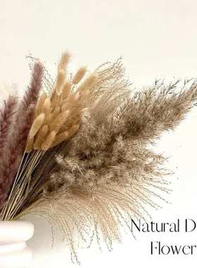 110Pcs Natural Dried Flowers Fluffy Pampas Bouquets Boho