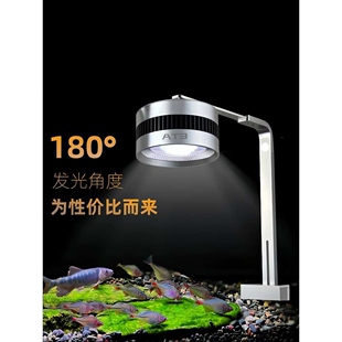 ??全光谱暴藻金鱼增色出绿苔鱼灯原生溪流造景灯鱼吊灯射灯