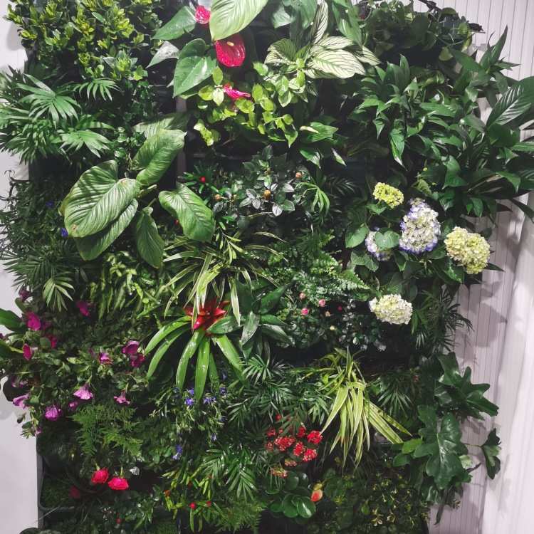 阳台移动植物墙花架户外庭院落地绿植墙花盆架子多层蔬菜种植架