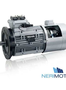 供应意大利NERI电机T80B4