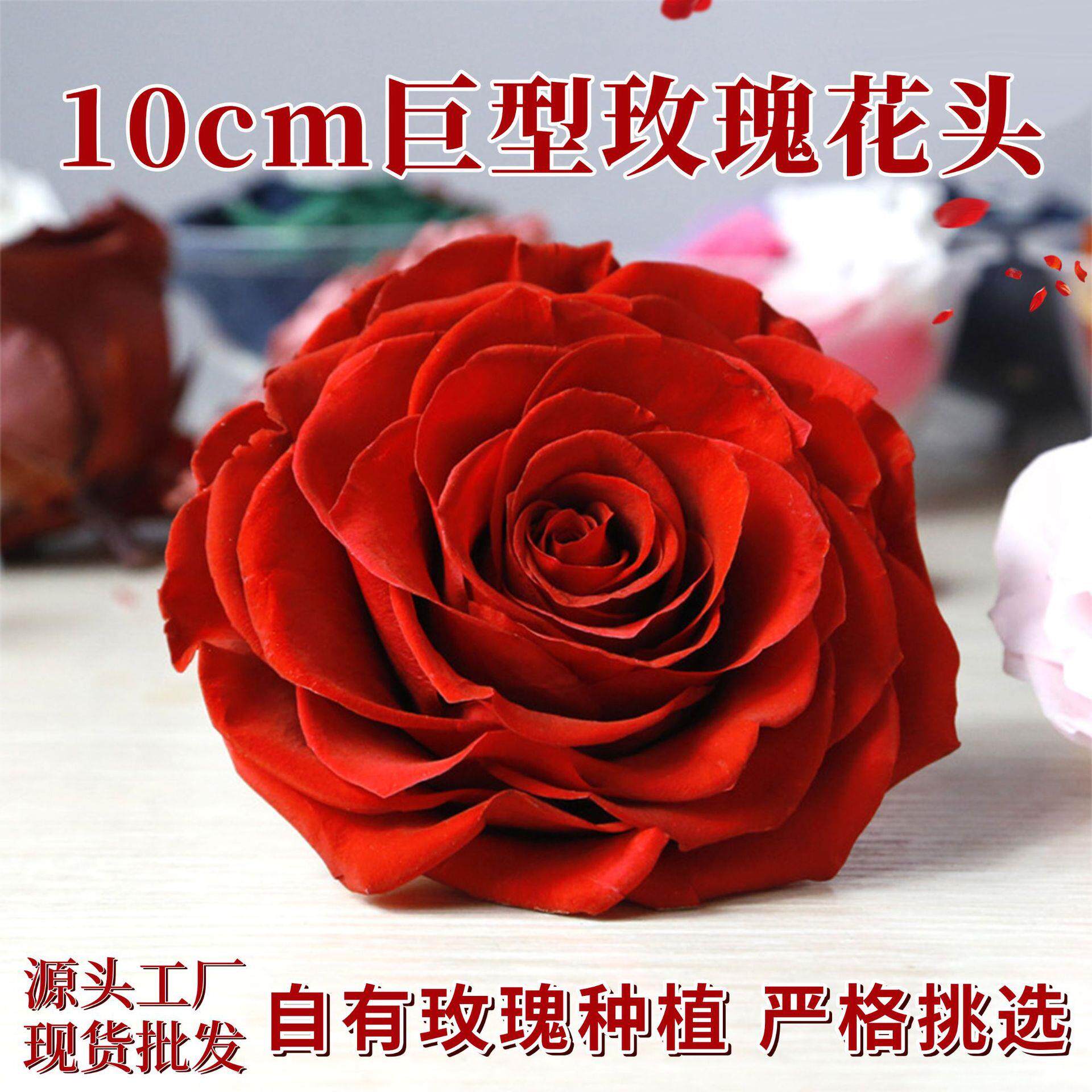 永生花玫瑰花头9-10cm单朵巨型diy花材礼盒情人节礼品花束