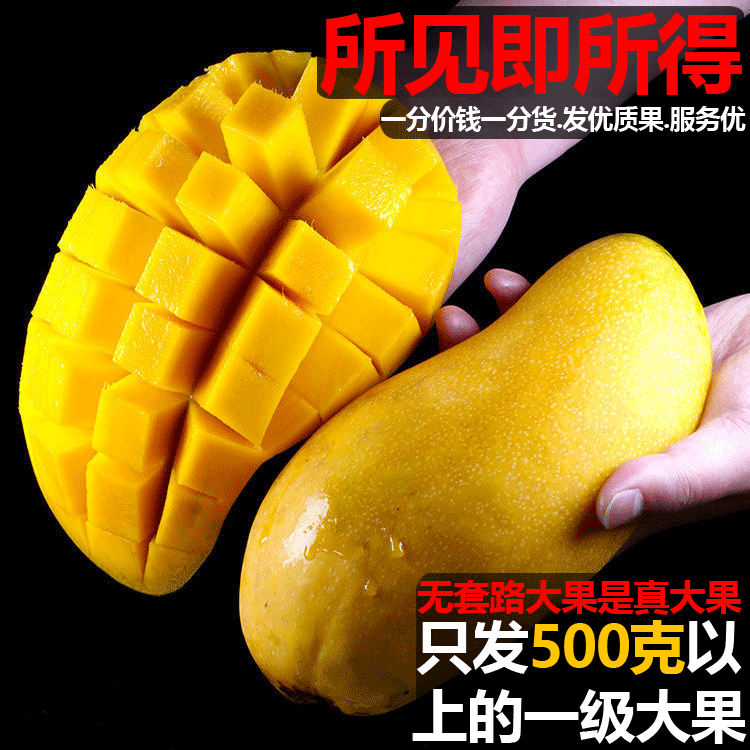 海南金黄芒水仙芒芒果爆甜纤维少