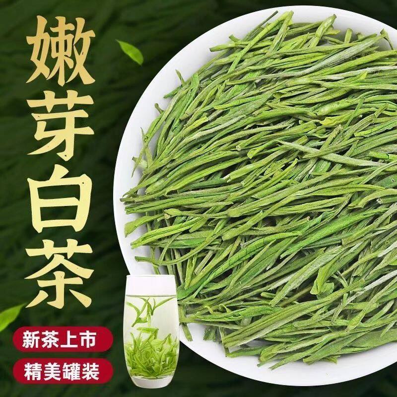 高山白茶安吉原产地发货2026新茶安吉浓香型绿茶茶叶