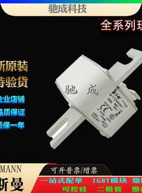 巴斯曼170M6060 170M6061 170M6062 加工制作 零售 快速保险丝