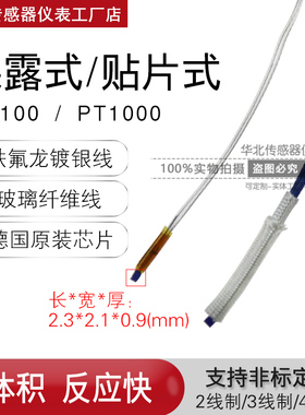 PT10a0裸装式贴片铂热电阻德国温度传感器PT1000小尺寸高灵敏探头