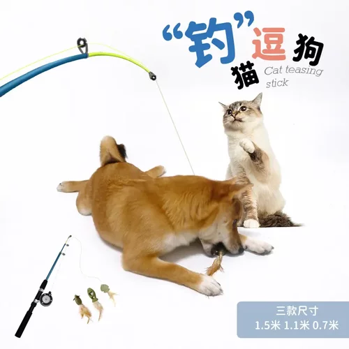 宠物玩具逗猫棒逗狗棒猫狗互动