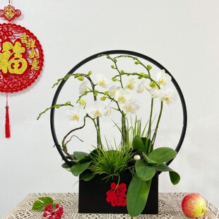 新中式蝴蝶兰花盆LED灯圈年宵花器花篮金属福桶桌面玄关摆件