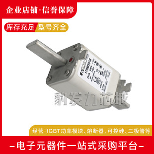 3930 170M3926 3929 3928 3931全新熔断器现货 3927