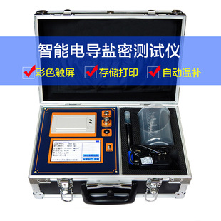 LNYM-331R智能电导盐密测试仪盐密测试仪盐密仪等值盐密仪