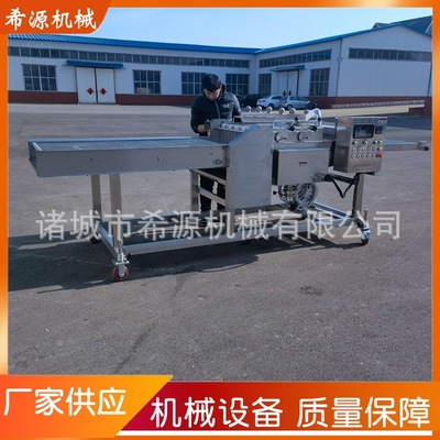 现货面包片上浆机 面包片裹浆设备 xy系列 挂浆面包油炸生产线