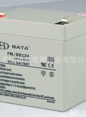 BABY蓄电池FM/BB1233T 鸿贝蓄电池12v33ah铅酸免维护直流屏