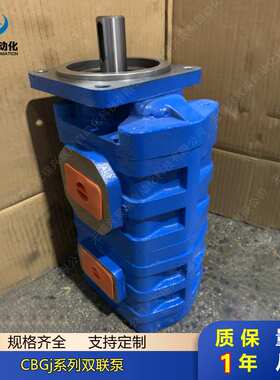 双联高压齿轮泵CBGJ2080/2063 CBGJ2080/2050 CBGJ2080/2040