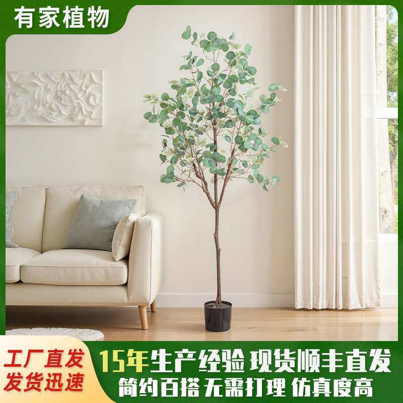 仿真绿植高级感尤加利盆栽家居室内装饰大型落地假树金钱树植物