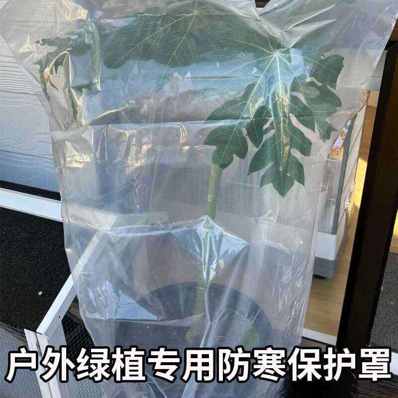 植物过冬防寒加厚塑料薄膜绿植防冻果树木防风透气保暖罩裹树布袋