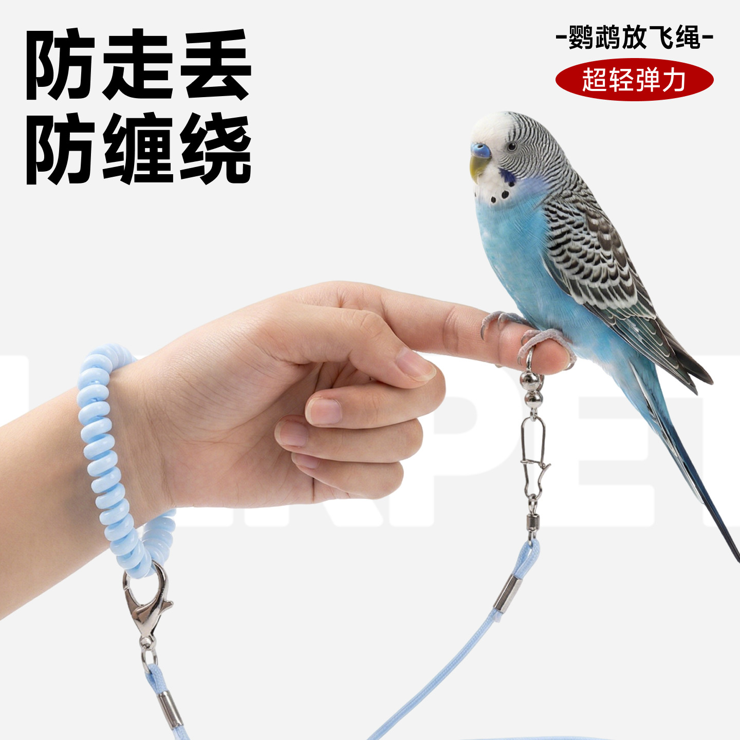 虎皮鹦鹉放飞绳牵引绳脚环脚链超轻不伤脚遛鸟神器弹力户外使用