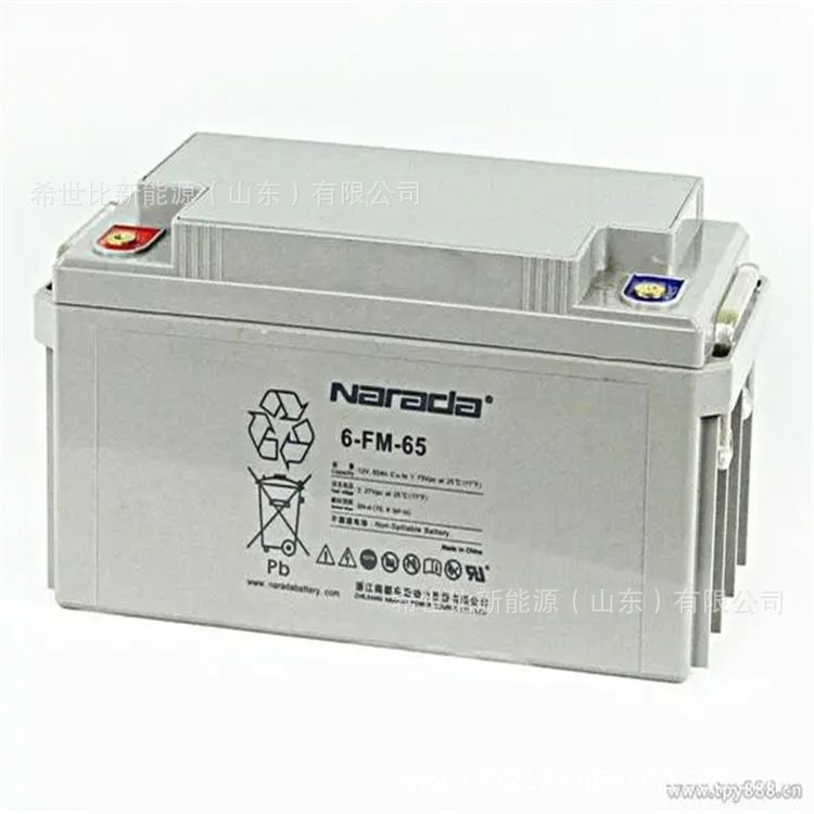NARADA南都蓄电池6-GFM-65发电站供电系统12V65AH核电厂报警系统