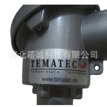 德国Tematec温度传感器热电偶TT7050-1012