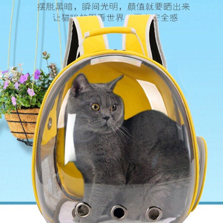 太空舱宠物外出便携透气双肩包