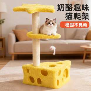 奶酪猫爬架猫窝剑麻猫抓柱不掉屑小型猫跳台小户型不占地猫树