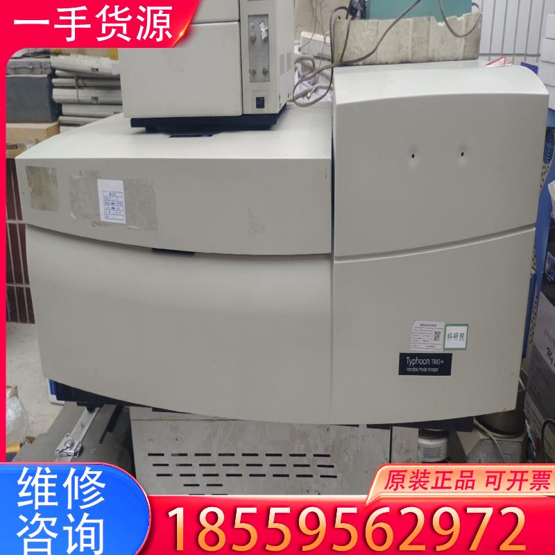 议价GE Typhoon TRIO+多功能激光扫描成像仪适用