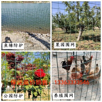 包塑防锈铁丝网养鸡网鸽q鸟兔笼网养殖网鱼塘果园防护网格菜园栅
