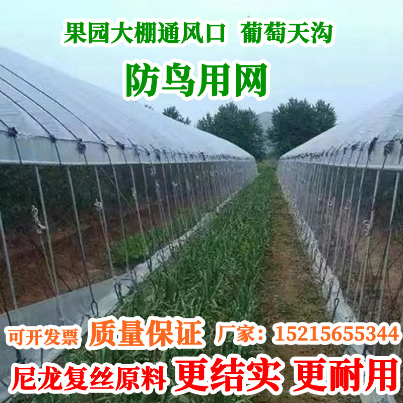 防鸟网果园尼龙网草莓园大棚通风口两侧葡萄种Q植天沟网种菜防护