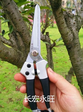长刃修枝剪直嘴j剪插花剪刀采摘果剪稀果整枝剪疏花剪果树剪盆景