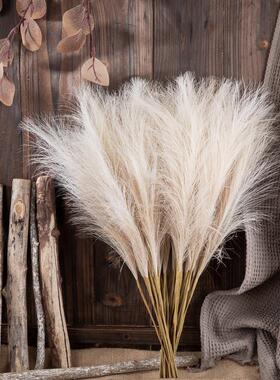 N婚庆慕雨芦苇潘帕斯IS真花厂家家居装饰跨境假花MWMW8500285风00
