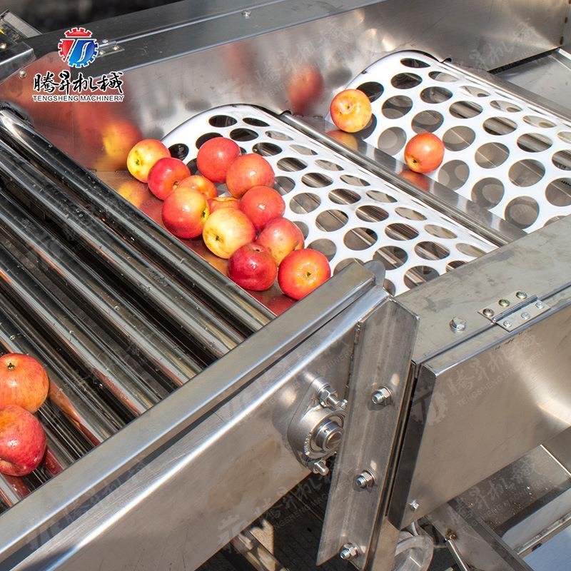 果分选大小拣选机 筛选大小 不锈钢材OME 规格可水定 质分选土果