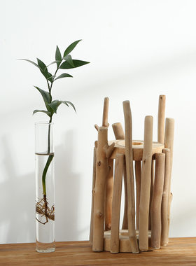 花瓶水培植物实木玻璃器皿室内z绿植花卉创意桌面花盆摆件新品包