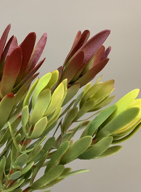 仿真花材 两叉红色木百合 塑胶非洲L百合花 样板房婚庆装饰