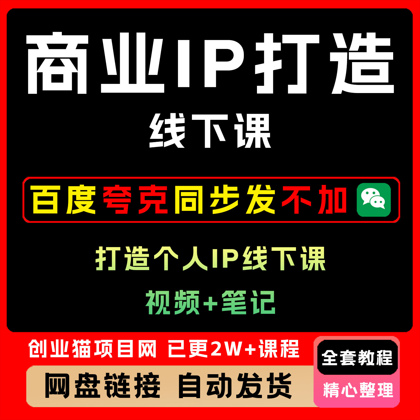 2025年商业IP打造线下课 个人IP视频+笔记教程操作简单零基础上手