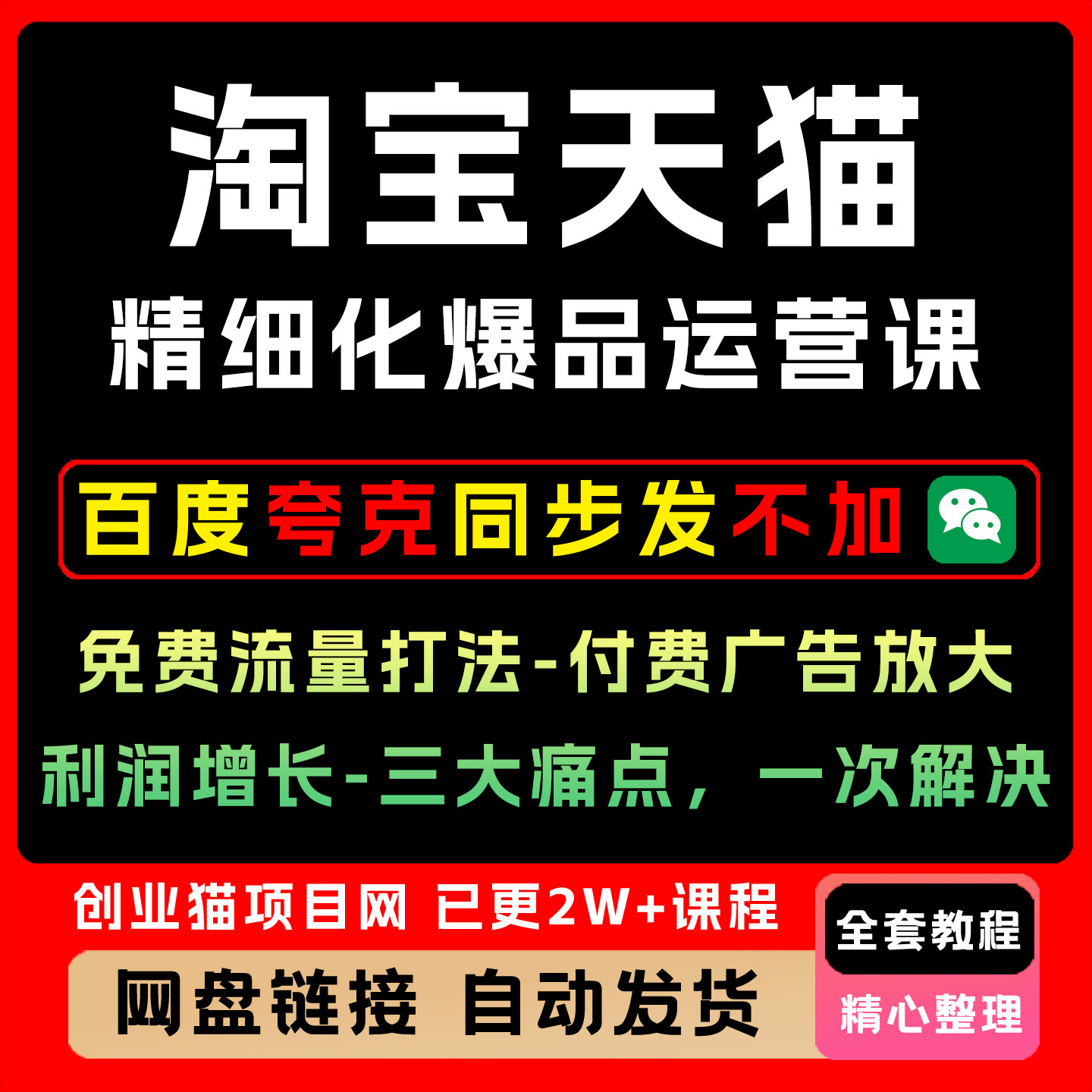 淘宝天猫精运营免流打法-付费放大-利润增长-三大痛点，一次解决
