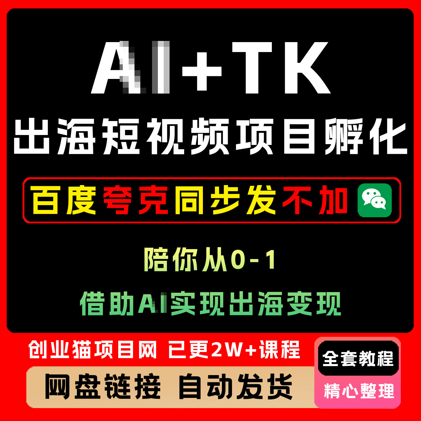2025年TK出海短视频项目孵化借助AI实现出海变现精讲学习教学课程