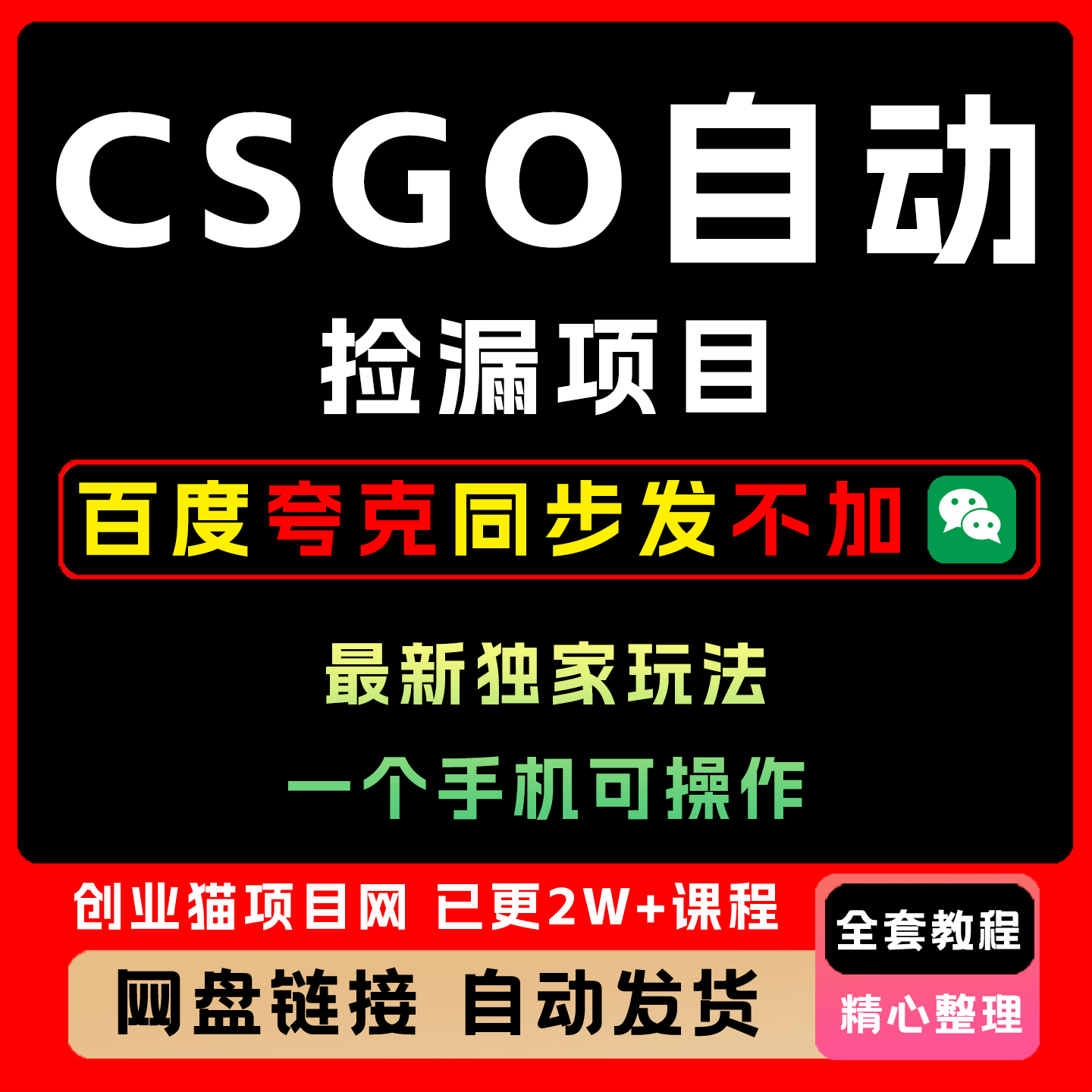 CSGO自动捡漏项目，新独家玩法 新手小白轻松月入1W+