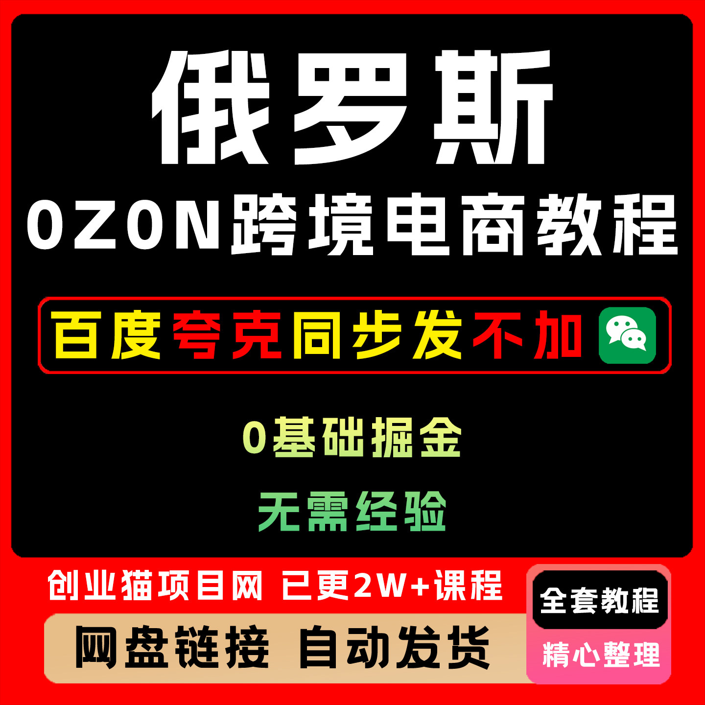 2025年0基础掘金俄罗斯OZON跨境电商保姆级教程