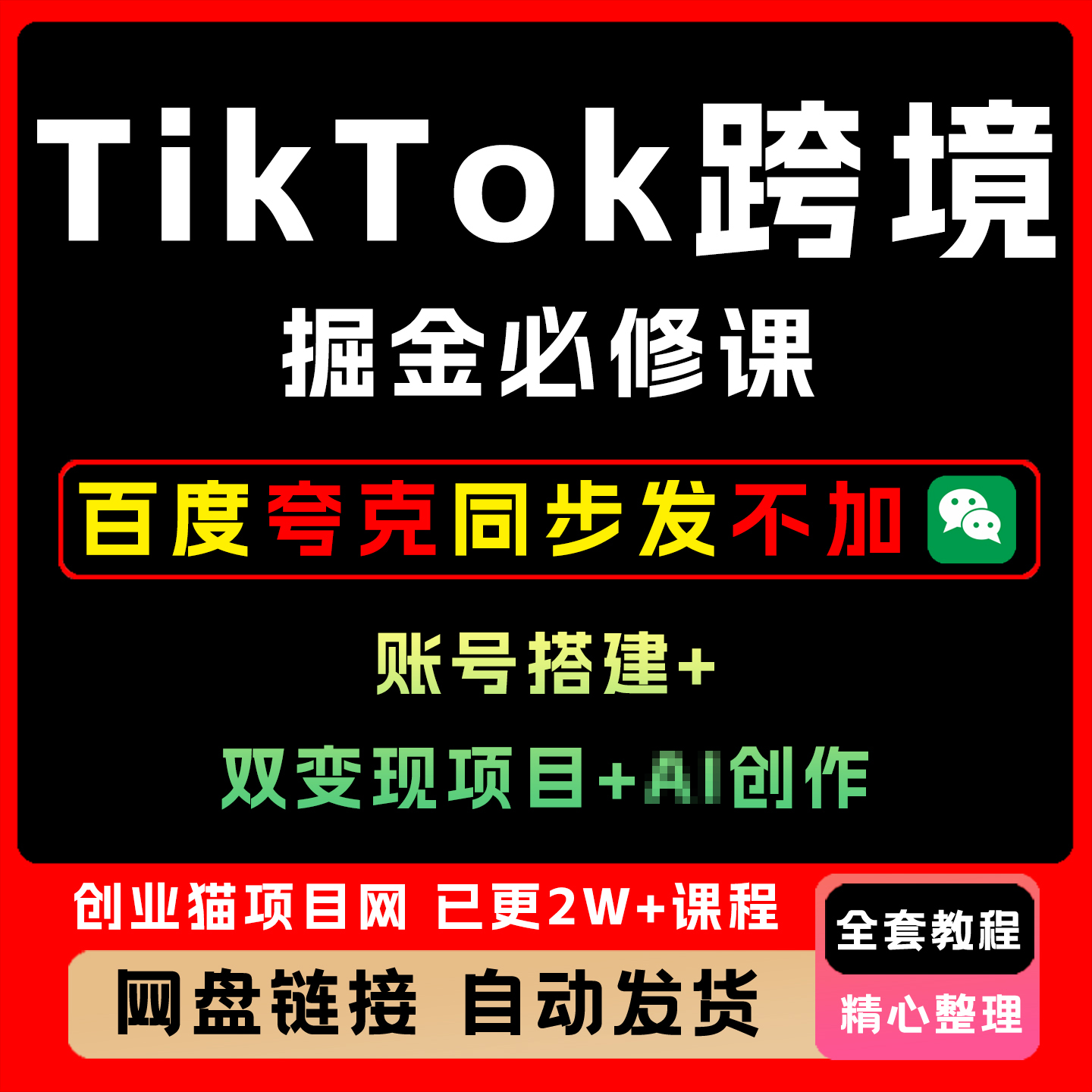 2025 Tiok跨境掘金必修课账号搭建双变现项目AI创作可矩阵复制