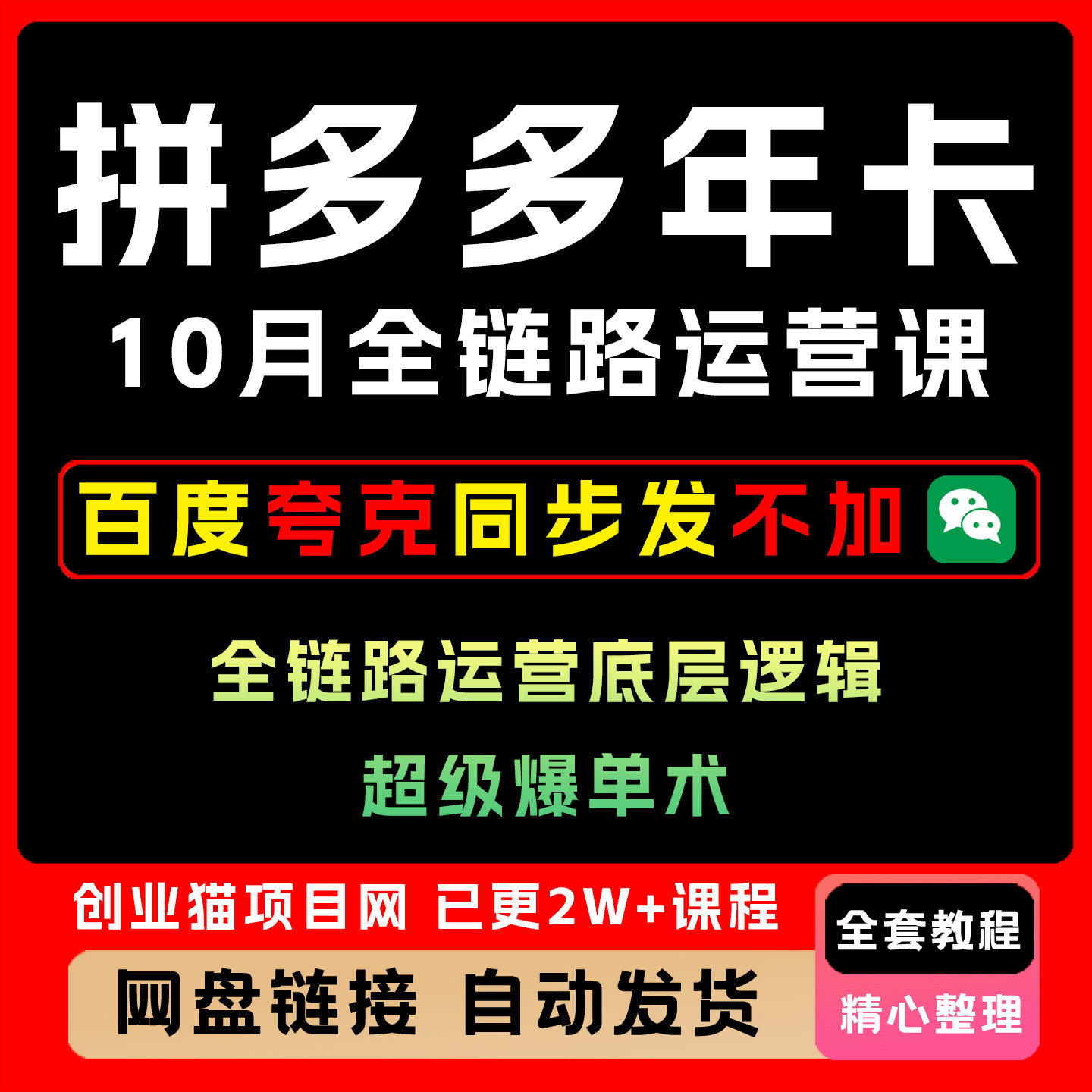 2025拼多多年卡10月全链路运营底层逻辑全套视频精讲学习教学课程