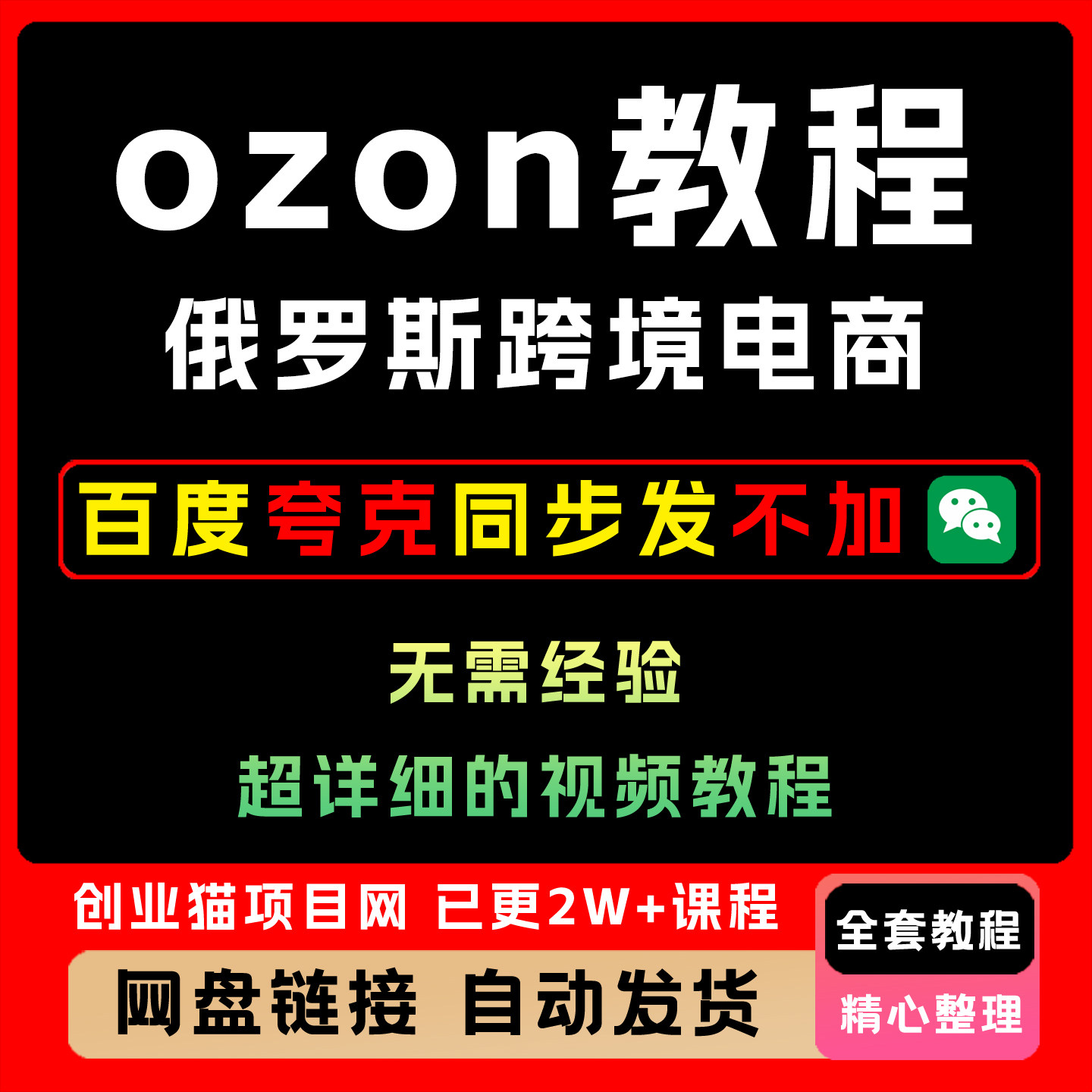 ozon教程俄罗斯跨境电商开店入驻Ozon运营选品视频培训新手全课程